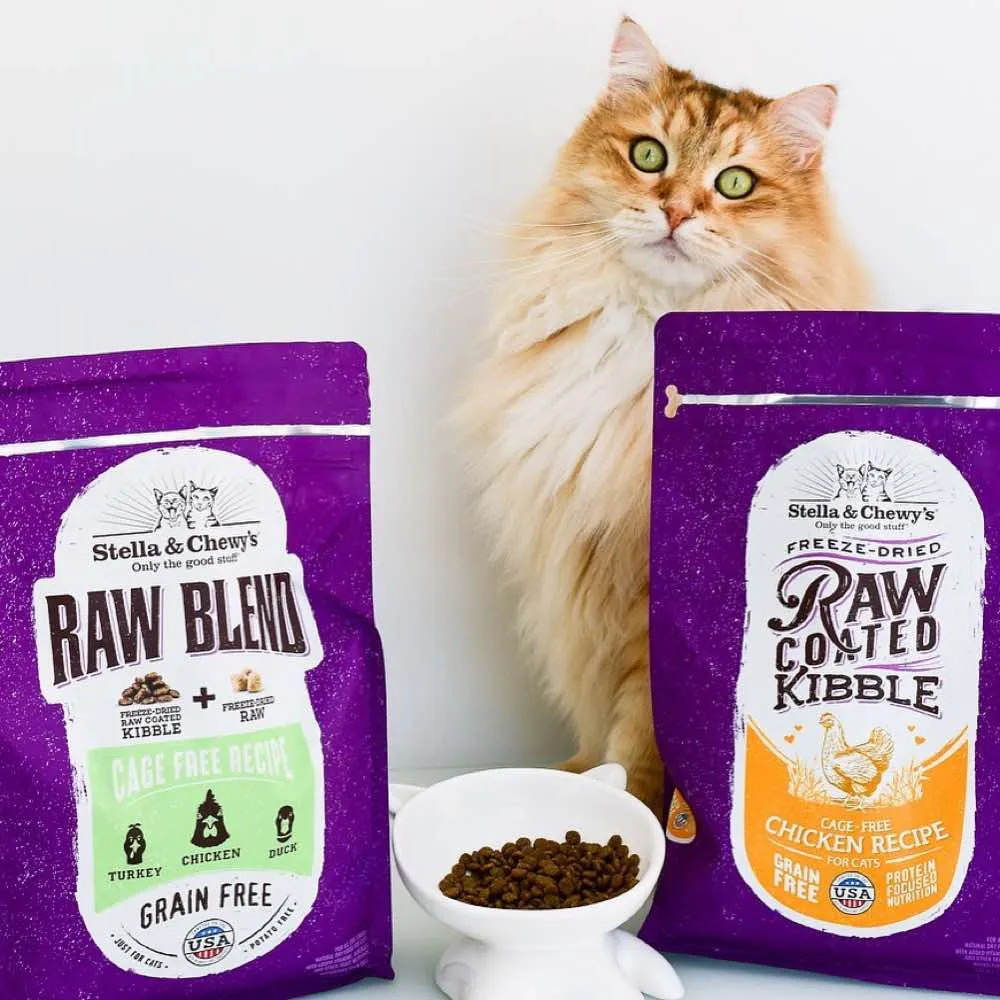 15% OFF: Stella & Chewy’s Freeze-Dried Raw Coated Kibble Chicken Grain-Free Dry Cat Food