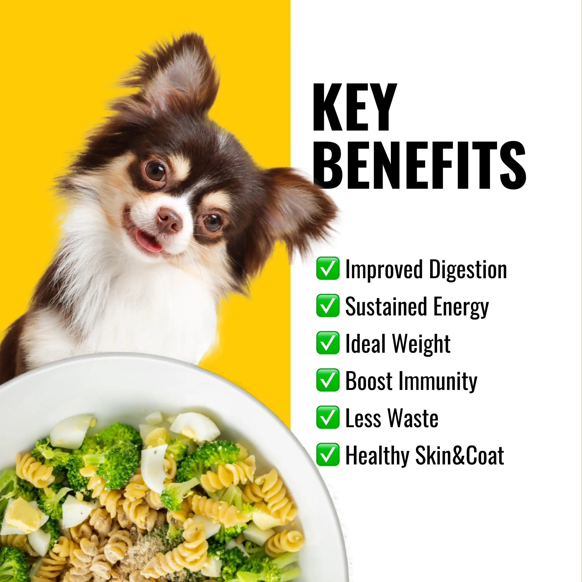 3 Vitamins For Homemade Dog Food