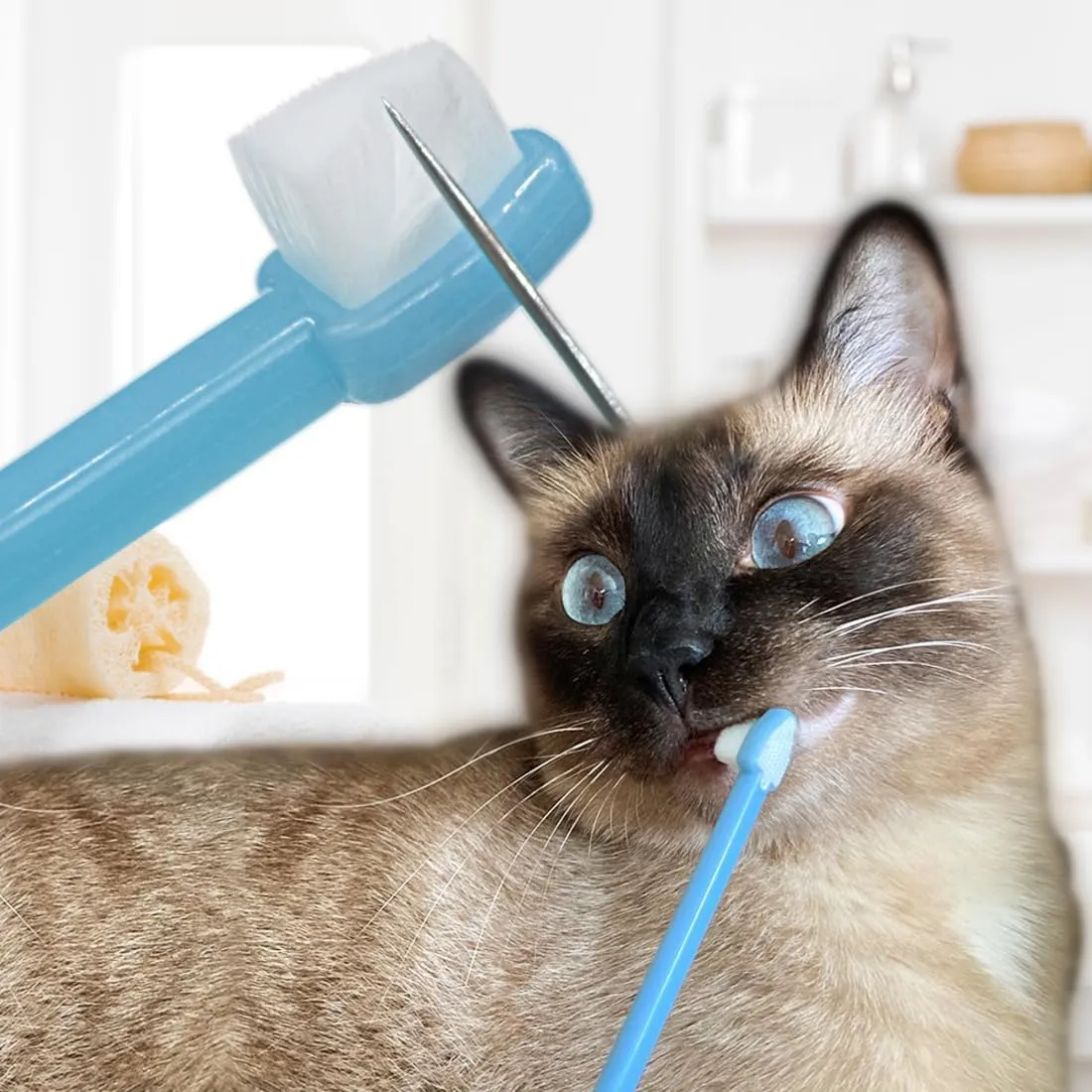 [ainsoap] Triangle Toothbrush, Soft Bristle Pet Toothbrush - 0.08mm Micro-Fine Bristles, Small Dogs and Cats, Gentle Cleaning with Tongue Cleaner (Pink, One Size)