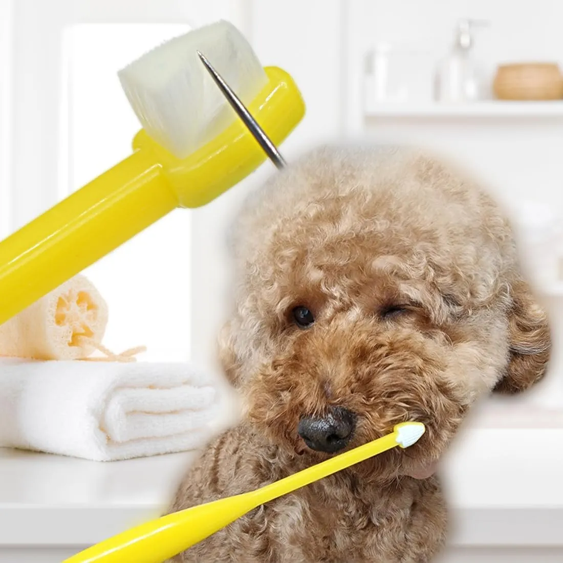 [ainsoap] Triangle Toothbrush, Soft Bristle Pet Toothbrush - 0.08mm Micro-Fine Bristles, Small Dogs and Cats, Gentle Cleaning with Tongue Cleaner (Pink, One Size)