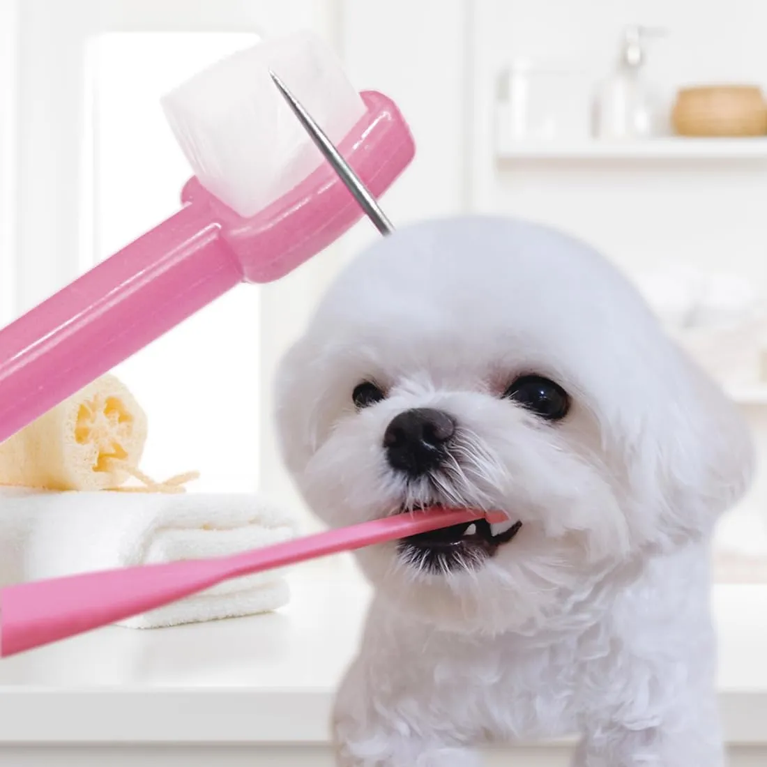 [ainsoap] Triangle Toothbrush, Soft Bristle Pet Toothbrush - 0.08mm Micro-Fine Bristles, Small Dogs and Cats, Gentle Cleaning with Tongue Cleaner (Pink, One Size)