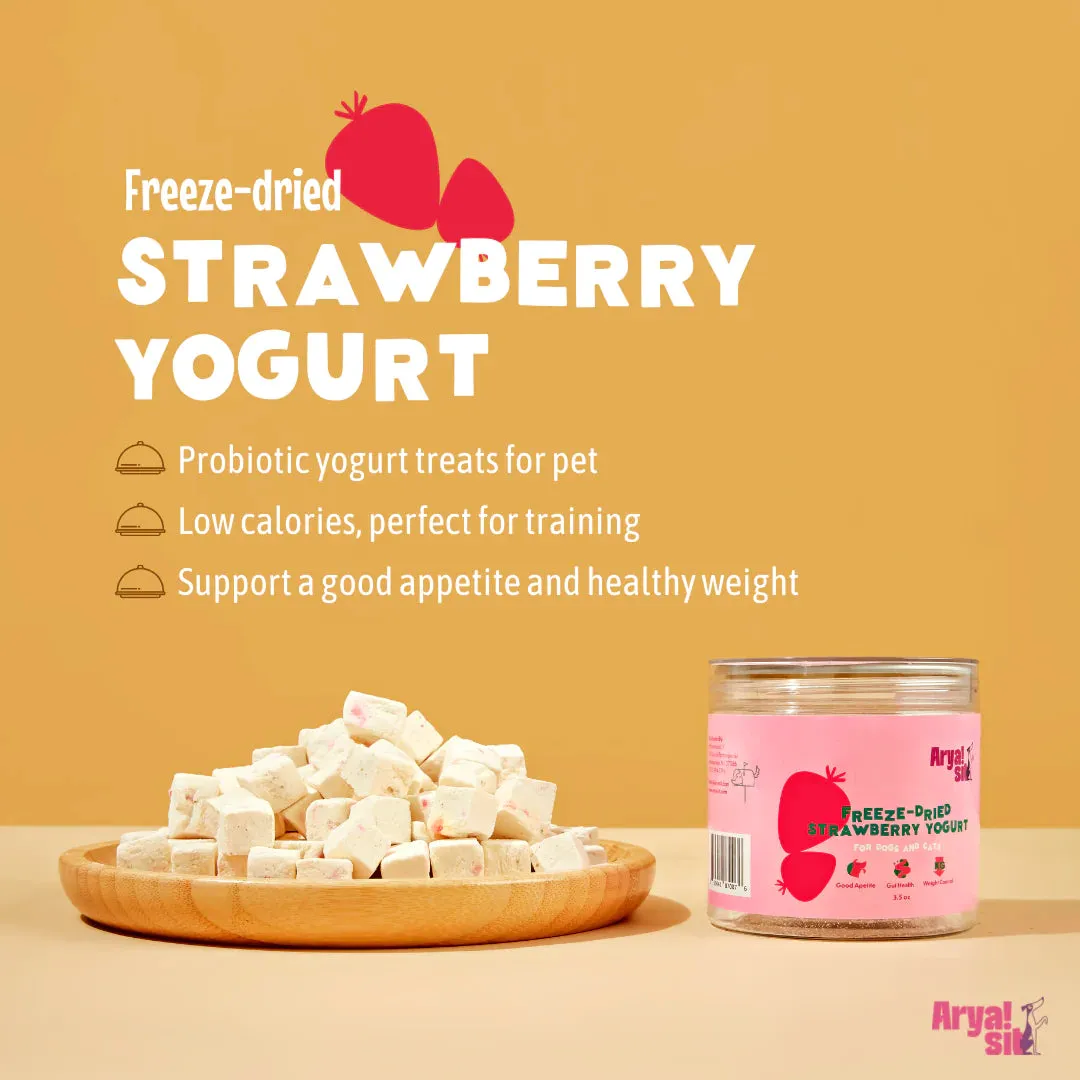 Arya Sit Freeze-Dried Strawberry Yogurt
