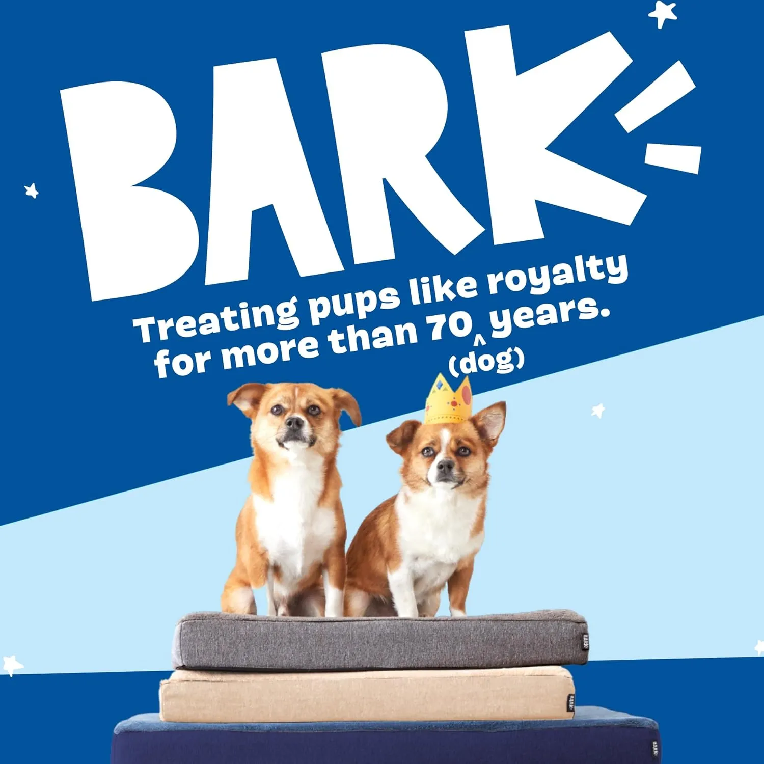 Barkbox Orthopedic Dog Bed with Memory Foam, Premium Comfort for Dogs and Puppies, Dog Bed for Joint Relief and Restful Sleep, Durable and Easy to Clean - Grey, XL