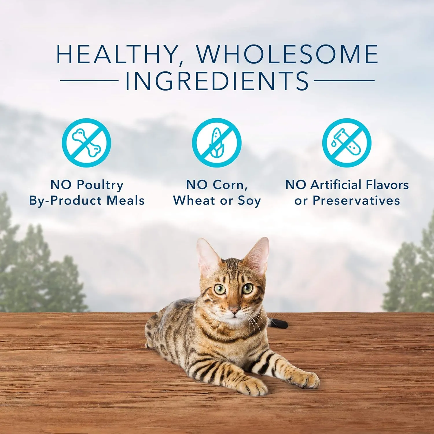Blue Buffalo Wilderness High Protein Crunchy Cat Treats, Made With Natural Ingredients, Tasty Trout, 2-oz Bag (Pack of 12)