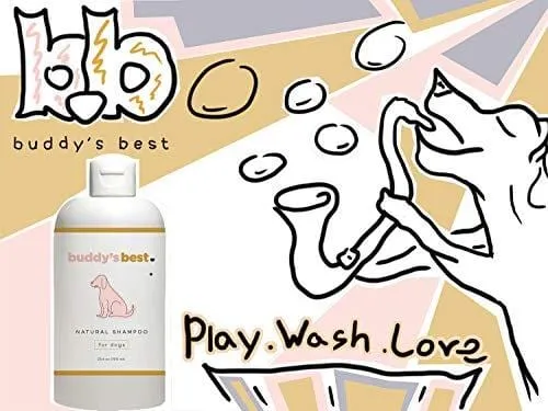 Buddy's Best Natural Coconut Vanilla Bean 2 in 1 Dog Shampoo Conditioner for Sensitive Skin - Anti-Itch Aloe Oatmeal, Moisturizing Shea Butter, with Added Biotin - Hypoallergenic - 16oz