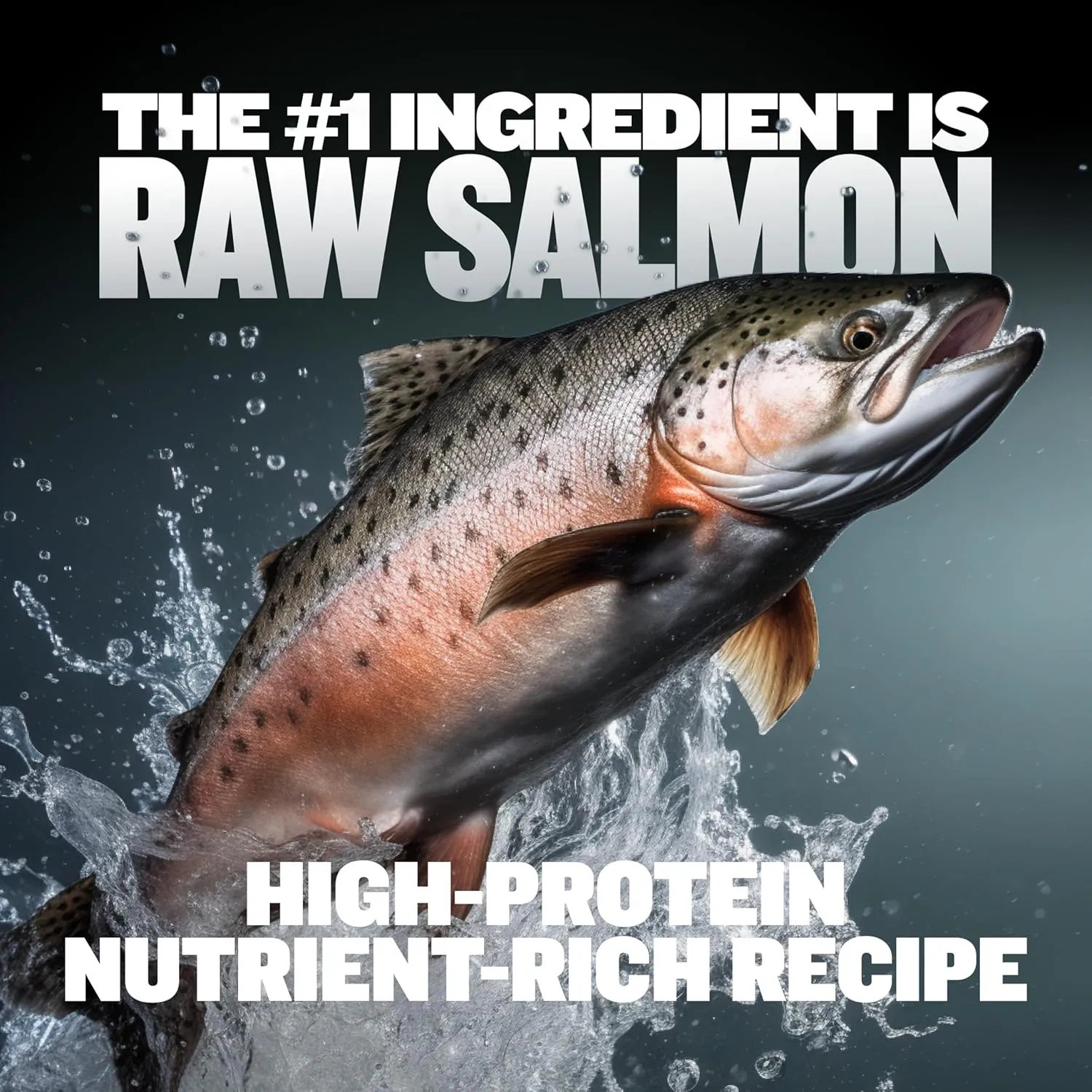 Bully Max Freeze-Dried Raw Dog Food Toppers for Puppies & Adult Dogs - Salmon with Real Fruits & Veggies - Meal Enhancers with Vitamins & Minerals - Feed as Puppy Treat or Dog Meal