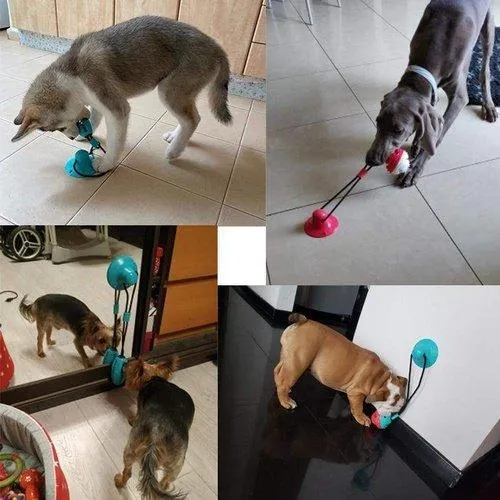 Dog Toy Chewing Ball