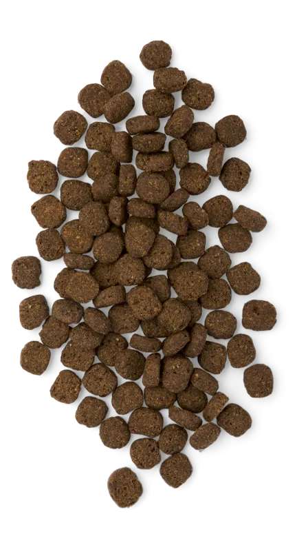 EARTHBORN UNREFINED Holistic Roasted Lamb with Superfoods Dog Food