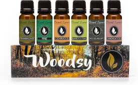 Eternal Essence Oils Woodsy Premium Fragrance Oils Set - Including Pine, Cedar Wood, Sandalwood, Bamboo & Teak, Woodland Bay and Frankincense - Rustic and Woody Scented Oils (6 Pack)