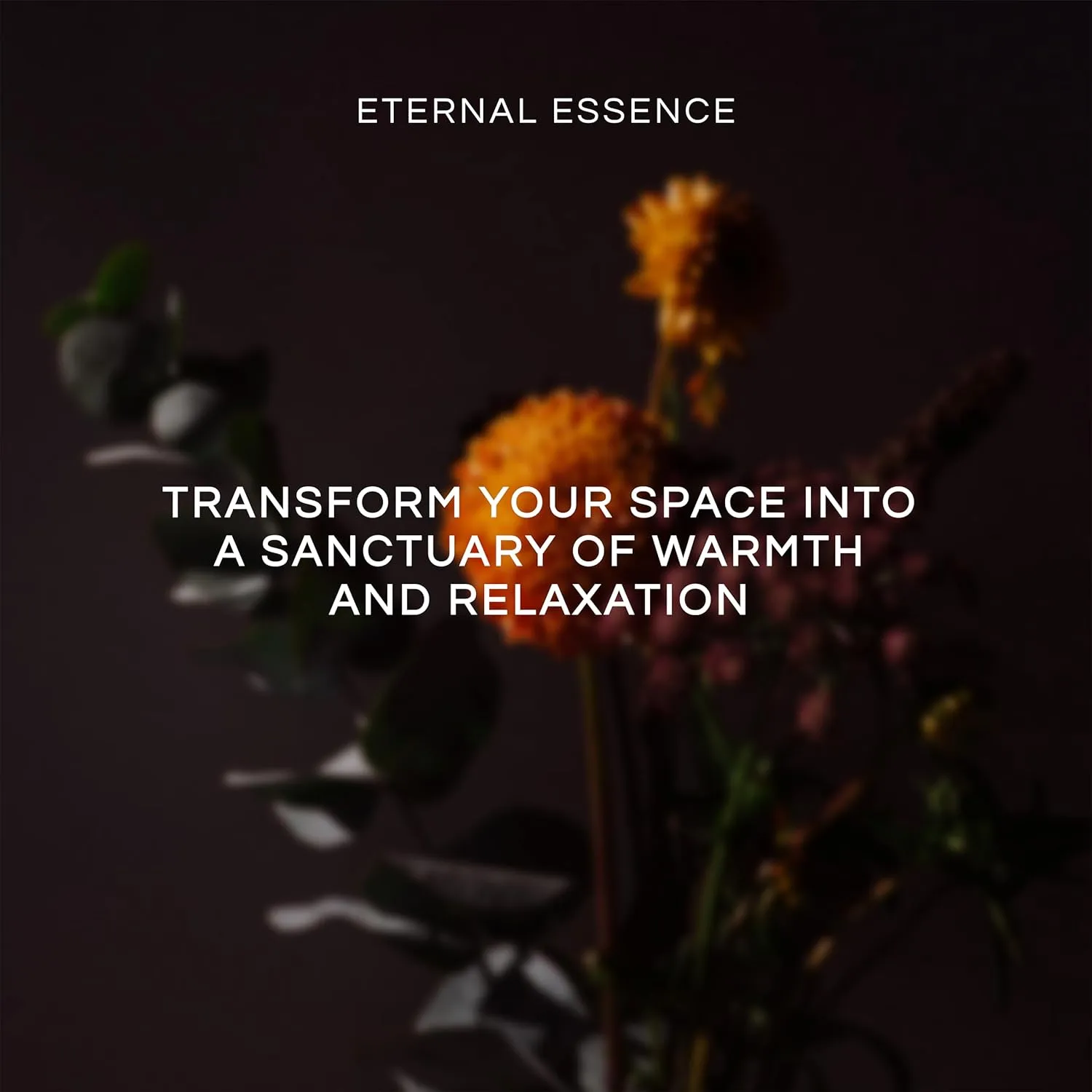Eternal Essence Oils Woodsy Premium Fragrance Oils Set - Including Pine, Cedar Wood, Sandalwood, Bamboo & Teak, Woodland Bay and Frankincense - Rustic and Woody Scented Oils (6 Pack)