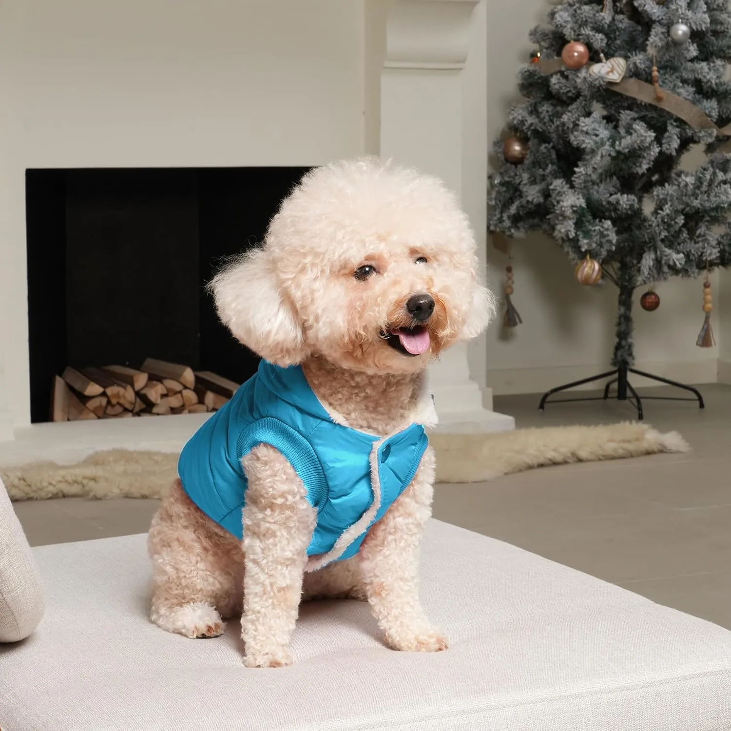 Fleece Lining Extra Warm Dog Hoodie in Winter for Small Dogs Jacket Puppy Coats with Hooded,Light Blue M