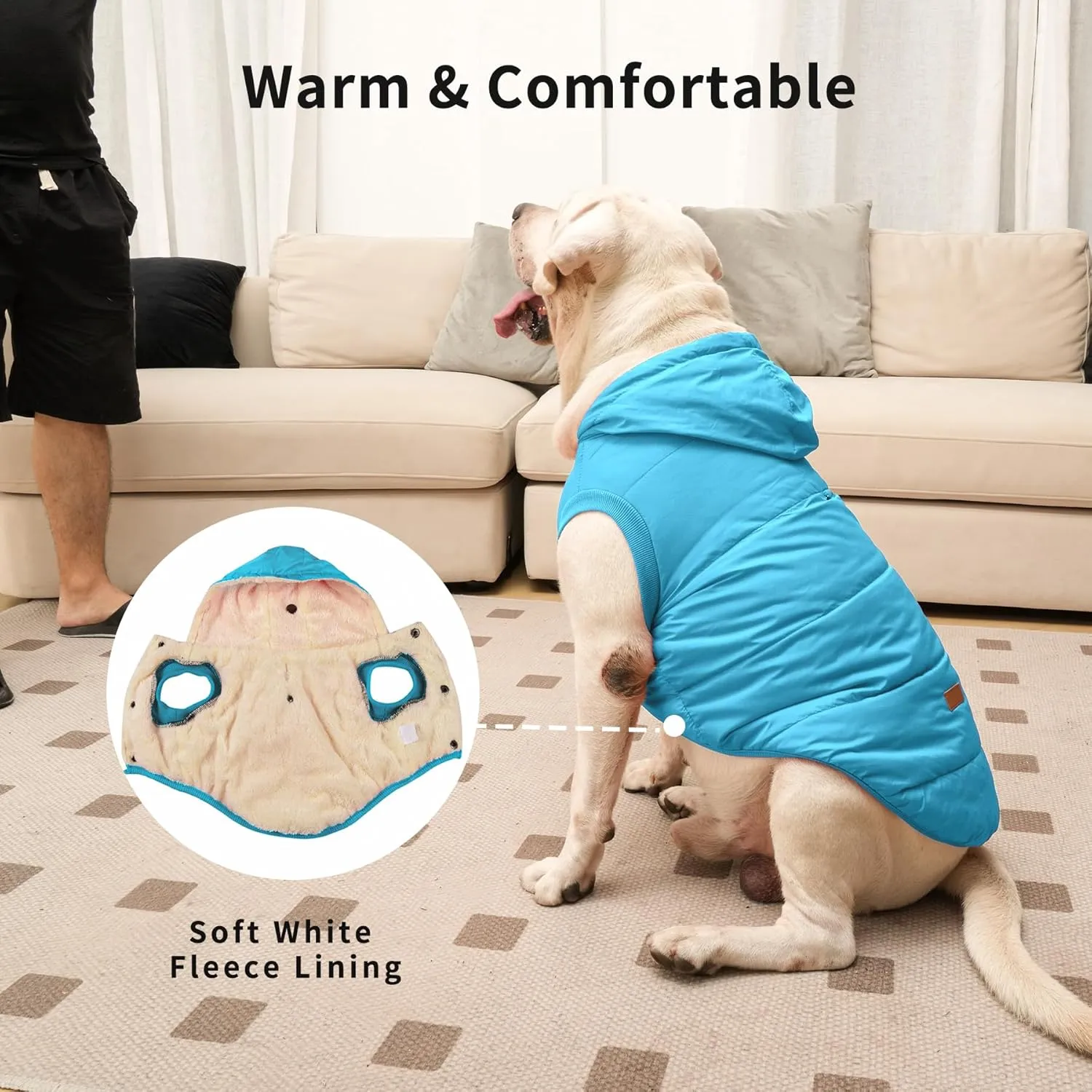 Fleece Lining Extra Warm Dog Hoodie in Winter for Small Dogs Jacket Puppy Coats with Hooded,Light Blue M