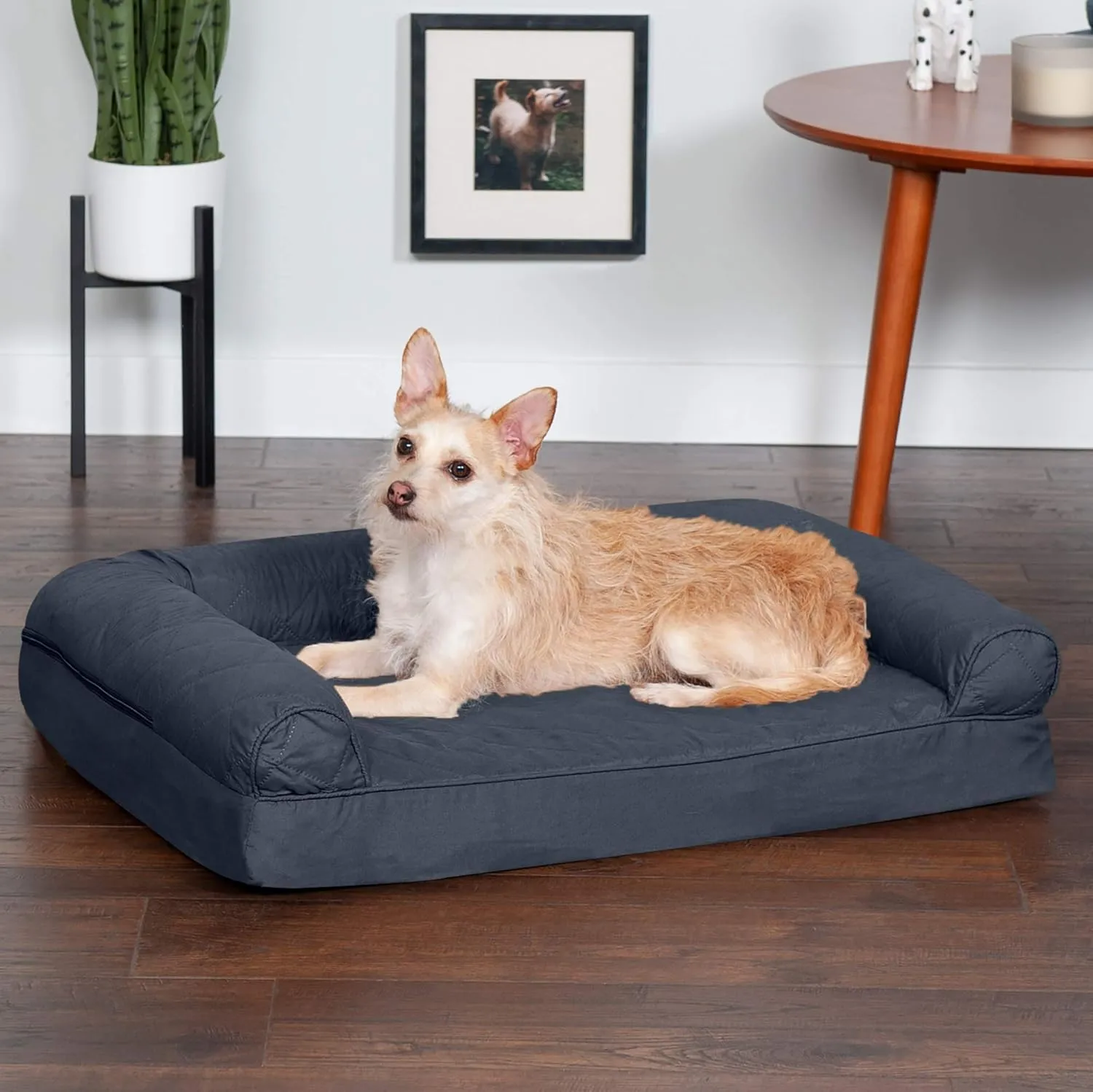 Furhaven Orthopedic Dog Bed for Medium/Small Dogs w/ Removable Bolsters & Washable Cover, For Dogs Up to 35 lbs - Quilted Sofa - Iron Gray, Medium