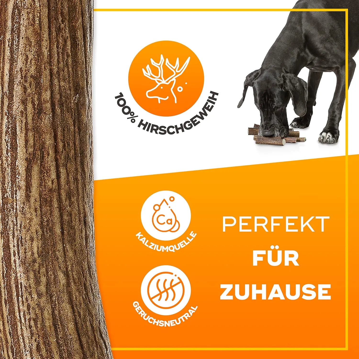 GIGIL Treat You pet Like a King - 100% Natural Deer Antlers for Large Dogs - Premium Elk Antlers - Long Lasting Dog Chew Toy - Naturally Shed and Organic Antlers for Dogs - Size L