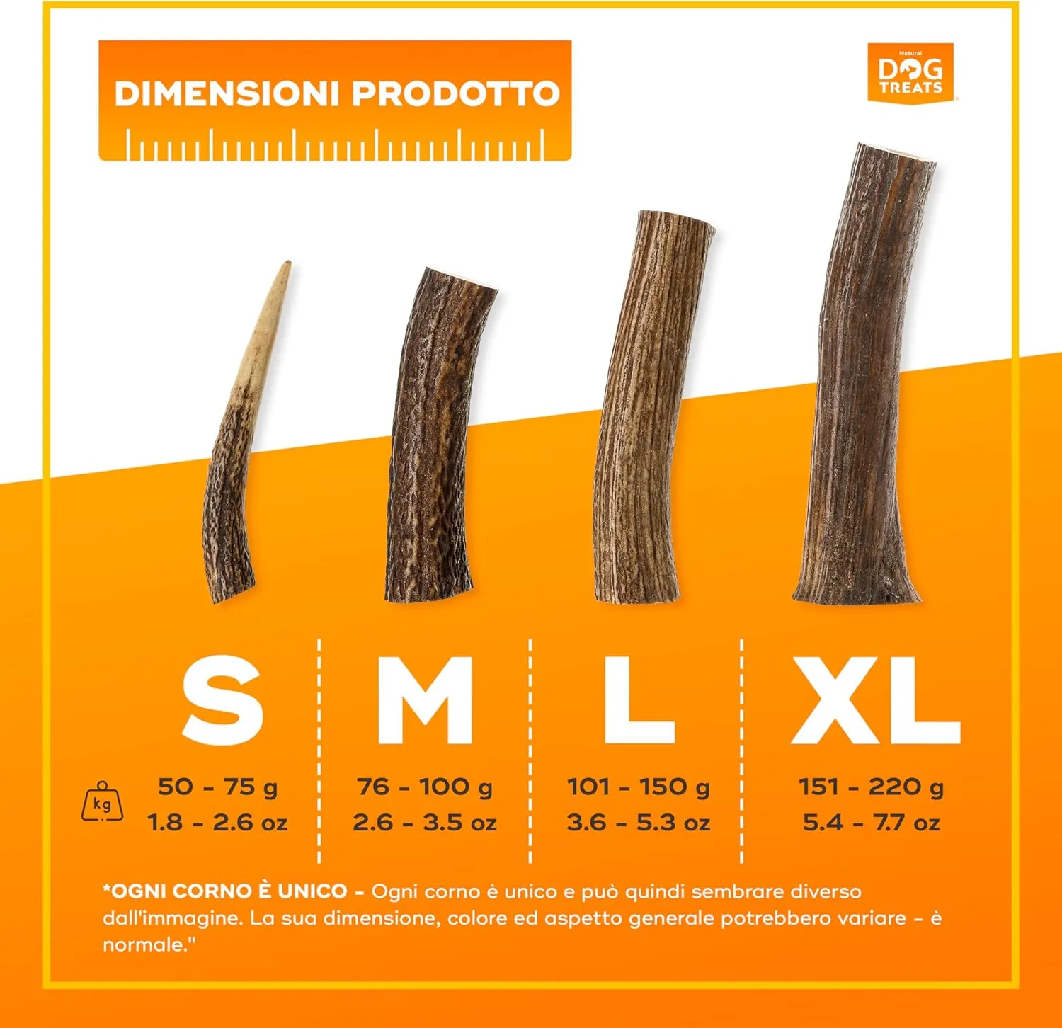 GIGIL Treat You pet Like a King - 100% Natural Deer Antlers for Large Dogs - Premium Elk Antlers - Long Lasting Dog Chew Toy - Naturally Shed and Organic Antlers for Dogs - Size L