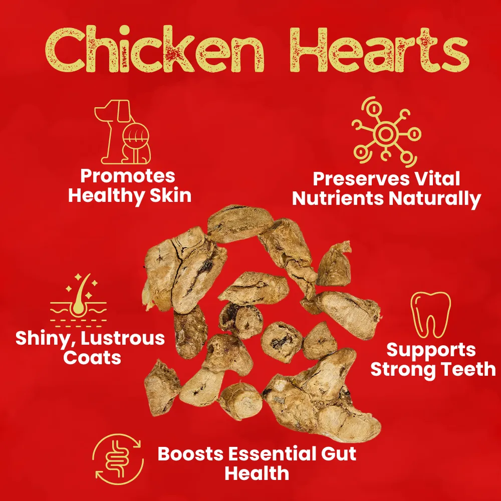 Kanu Pet Freeze Dried Chicken Heart Dog Treat