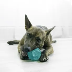 KONG DENTAL SQUEEZZ BALL M