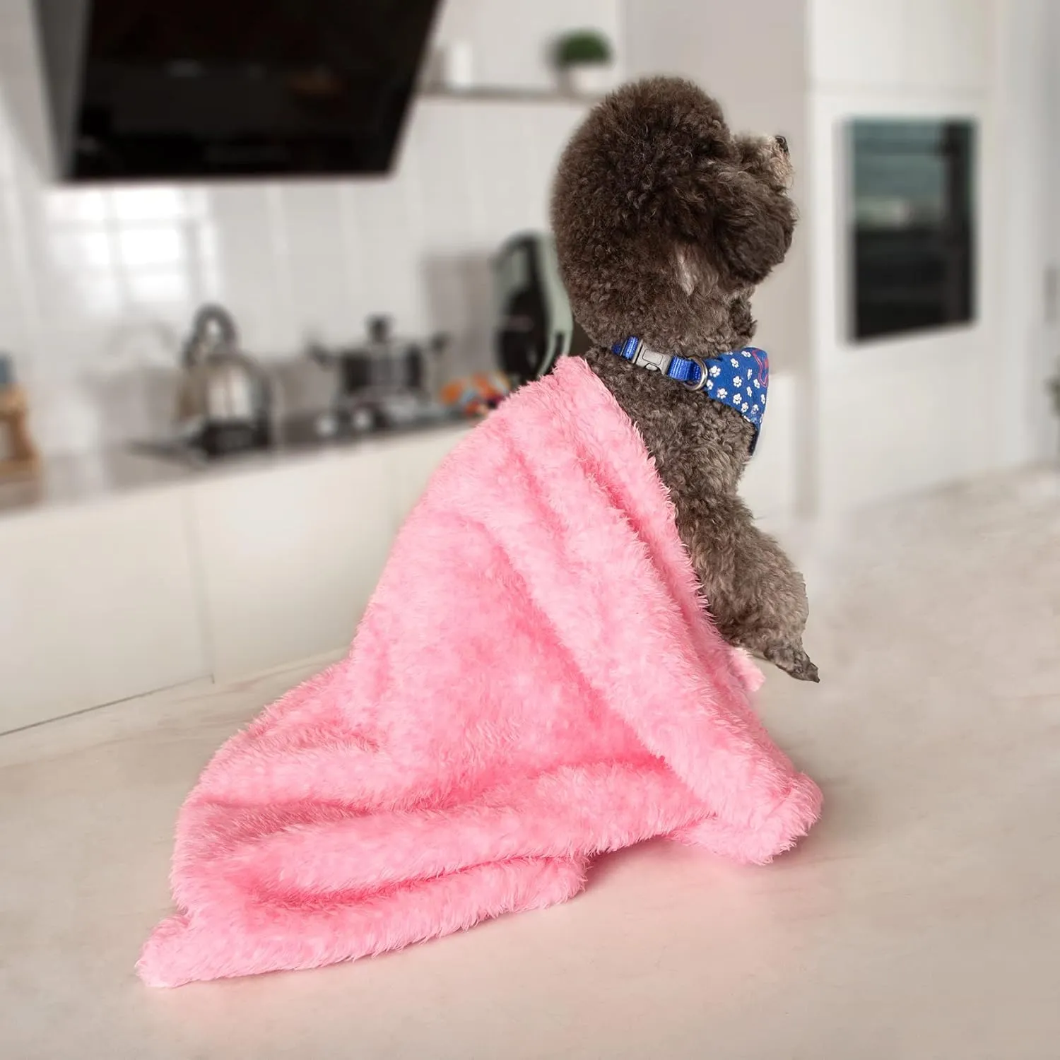 MACEVIA Fluffy Fleece Dog Blankets,Warm Soft Fuzzy Pets Blanket for Puppy,Small,Medium,Large Dogs and Cats,Plush Pet Throws for Bed,Couch,Sofa,Travel(24x29 Inch, Pink)