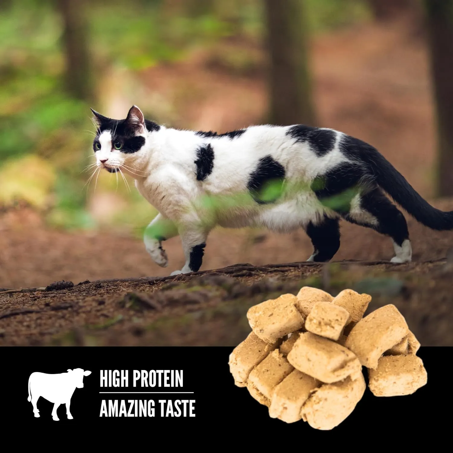 Orijen Regional Red Recipe Freeze-Dried Cat Treats
