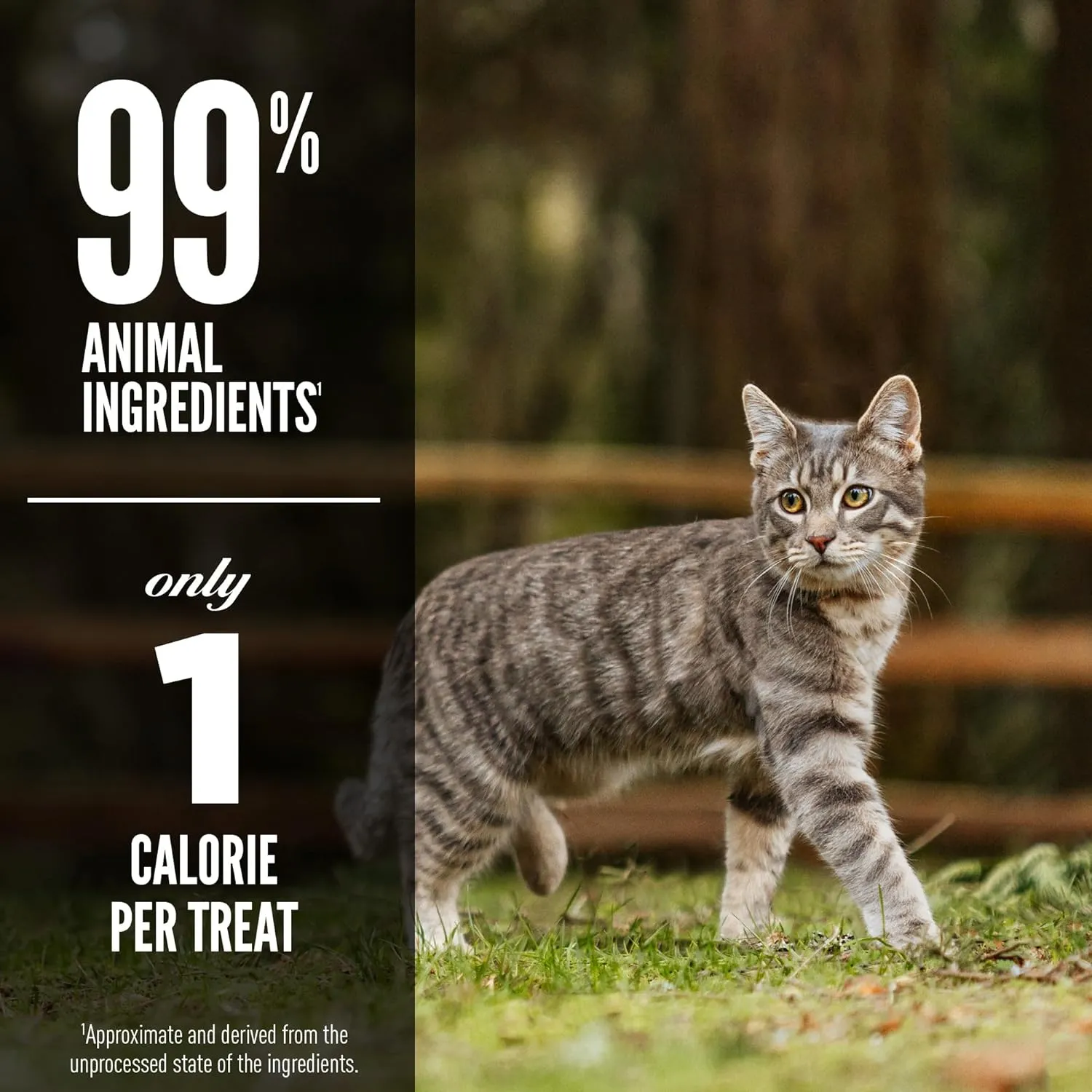 Orijen Regional Red Recipe Freeze-Dried Cat Treats