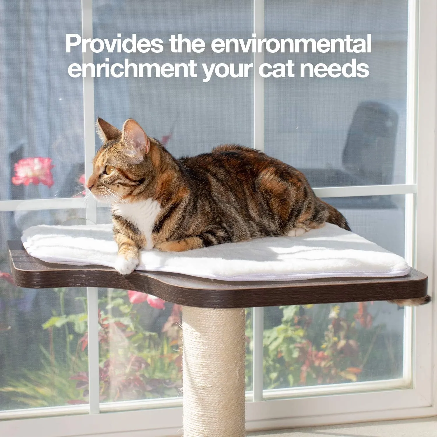 PetFusion Ultimate Cat Window Climbing Perch 45 Tall (Tree Sisal Scratching Posts, Modern Design Simply Suctions to Window. (EASY TO ASSEMBLE)