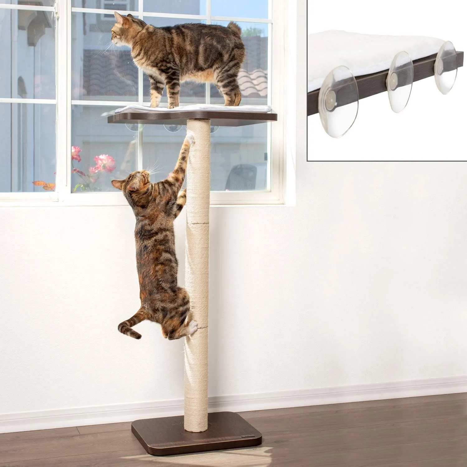 PetFusion Ultimate Cat Window Climbing Perch 45 Tall (Tree Sisal Scratching Posts, Modern Design Simply Suctions to Window. (EASY TO ASSEMBLE)