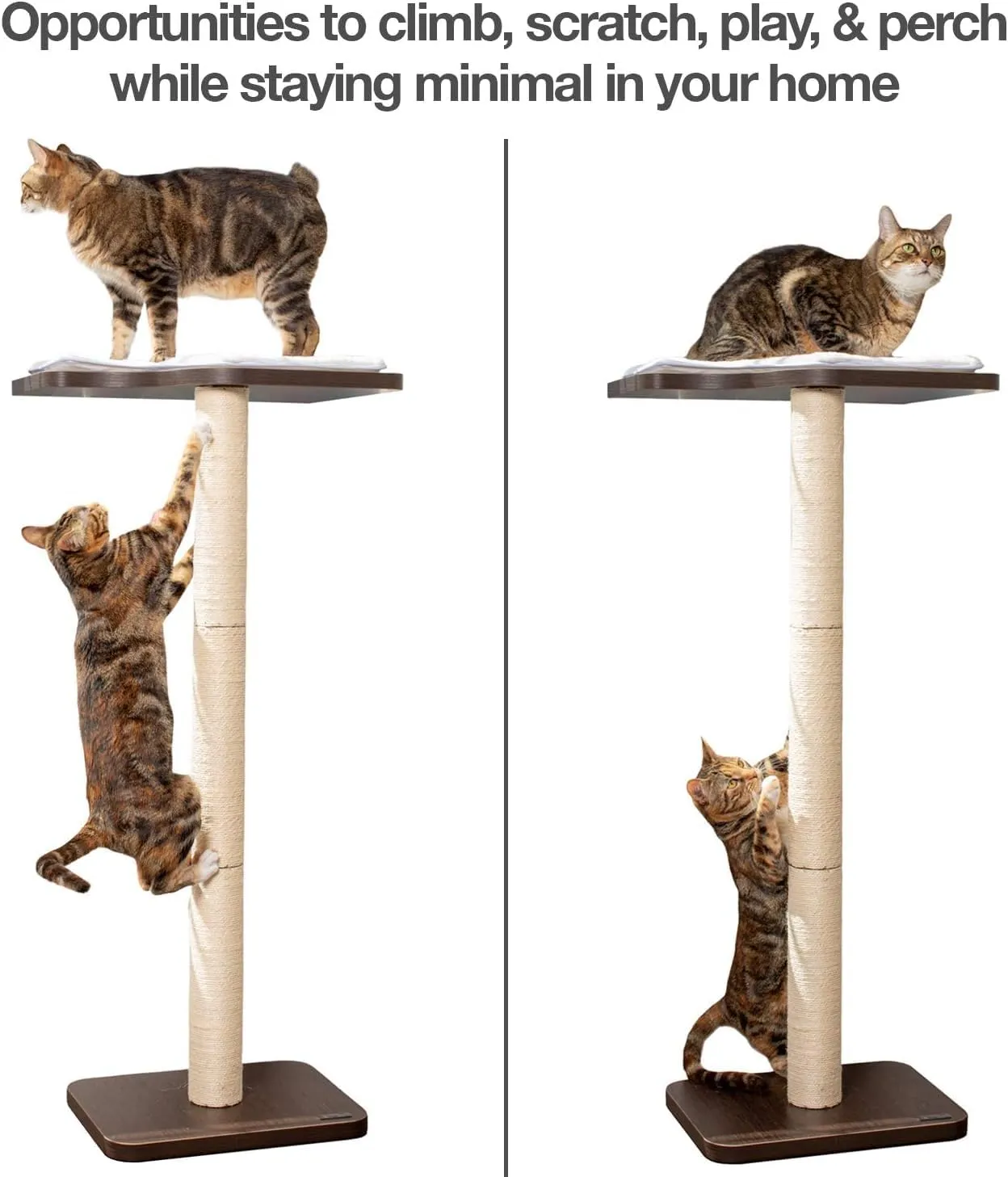 PetFusion Ultimate Cat Window Climbing Perch 45 Tall (Tree Sisal Scratching Posts, Modern Design Simply Suctions to Window. (EASY TO ASSEMBLE)