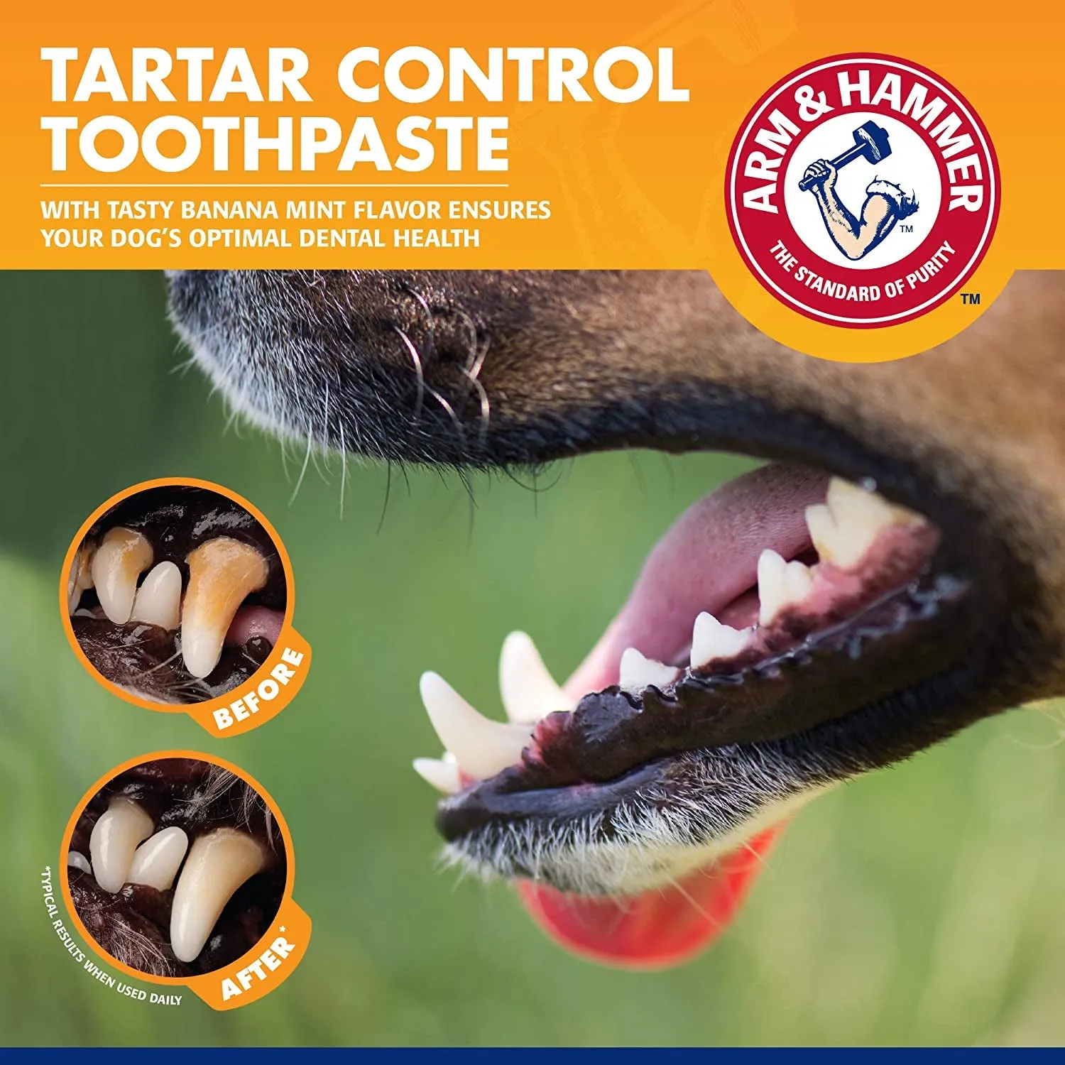 Pets Toothpaste, Toothbrush & Fingerbrush Tartar Control Kit for Dog 3-Piece Kit, Banana Mint Flavor