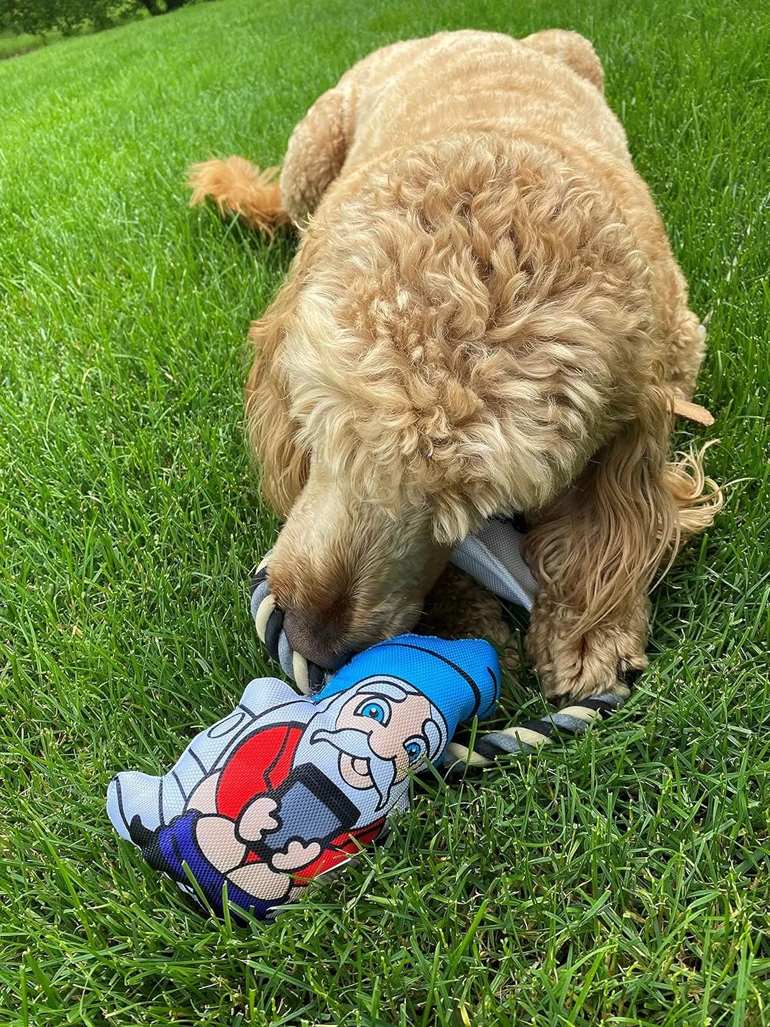 Pronk! Pets Gnome Cellphone on Toilet Funny 13-Inch Durable Soft Plush Squeaky Rope Dog Toy