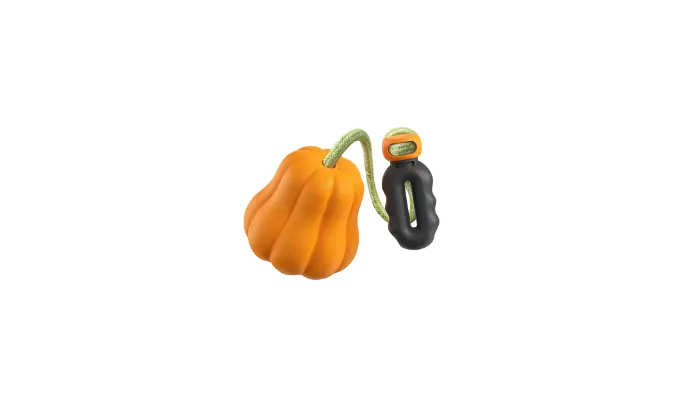 Pumpkin Ball Dog Toy