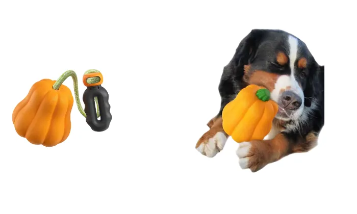 Pumpkin Ball Dog Toy