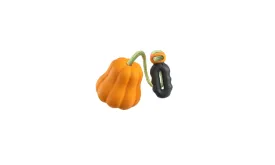 Pumpkin Ball Dog Toy