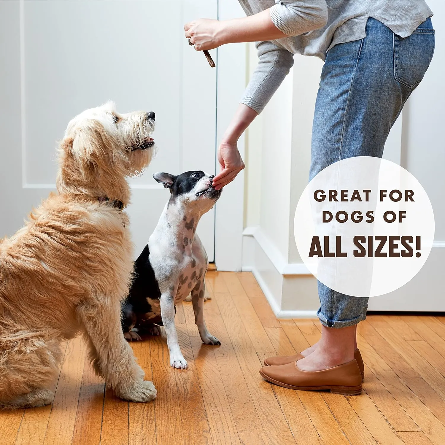 Rocco & Roxie Soft Dog Treats - Beef Jerky Sticks for Senior Dogs & Puppies - Best Training Treats for Small, Medium & Large Breeds - 1lb