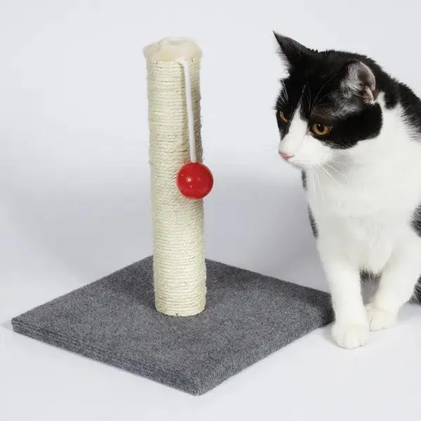 Scruffy's Scratching Post & Ball