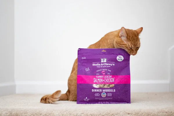 Stella & Chewy's Freeze-Dried Morsels for Cats - Yummy Lickin Salmon and Chicken Recipe, Freeze-Dried Raw Cat Food
