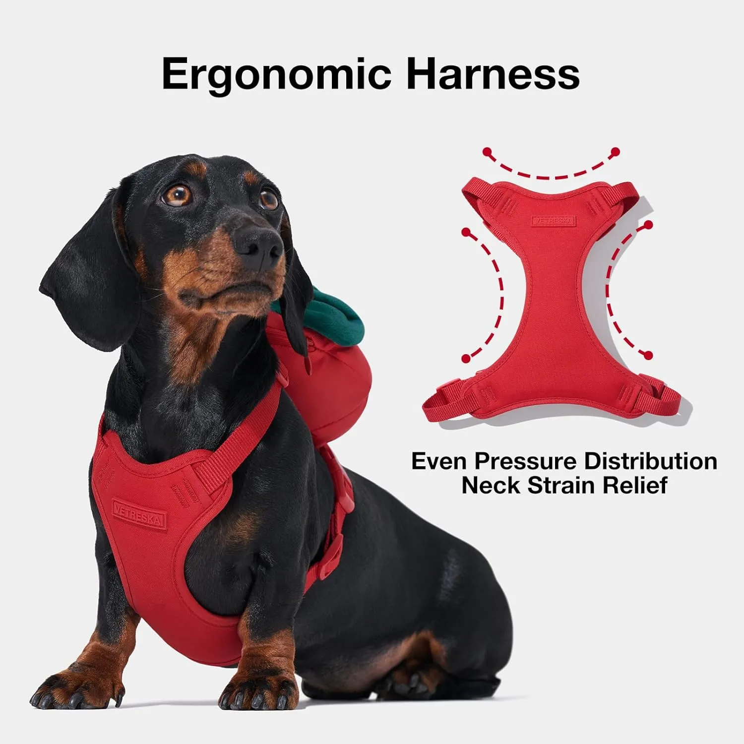 VETRESKA Strawberry Dog Harness and Leash Set, No Pull Dog Vest Harness for Medium Large Dogs, Walking and Training, Adjustable, Easy Control and Soft Padded Pet Harness and Backpack (S)