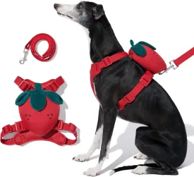 VETRESKA Strawberry Dog Harness and Leash Set, No Pull Dog Vest Harness for Medium Large Dogs, Walking and Training, Adjustable, Easy Control and Soft Padded Pet Harness and Backpack (S)